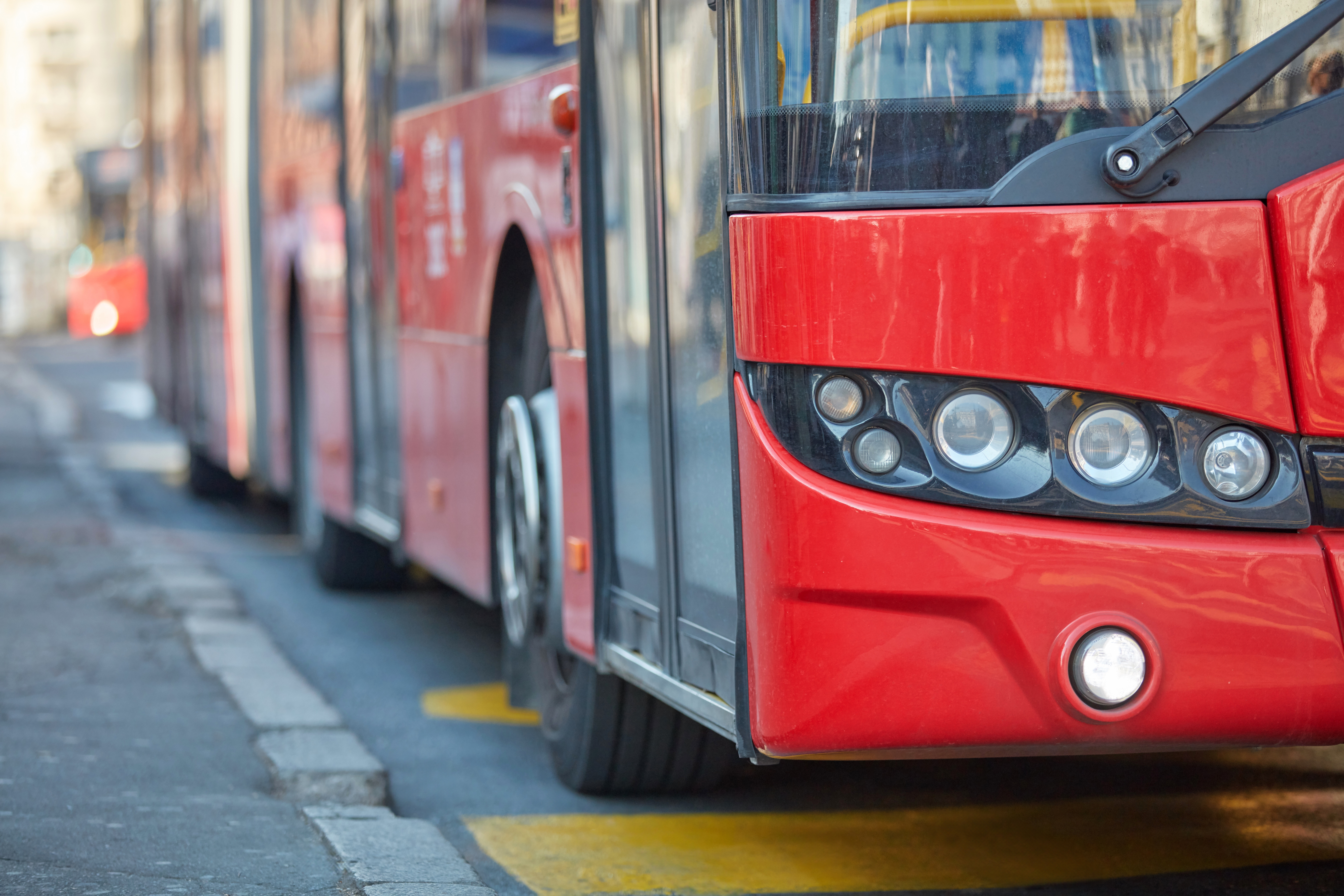 fleet buses